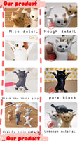 Sassy Cat Airpod Holder Cat Pen Holder Buy 4 get a set of 5 Blind Box From Japan
